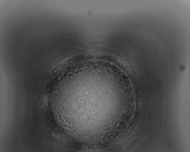 X0000097981397200804011733