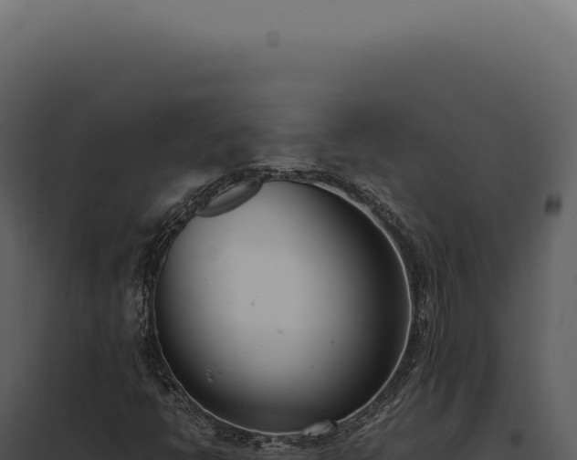 X0000097981398200804011733