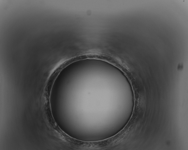 X0000097981400200804011733