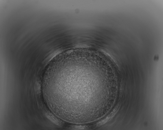 X0000097981401200804011733