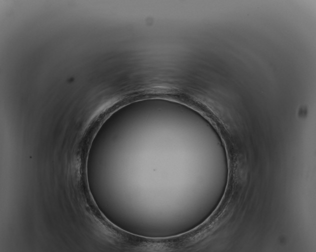 X0000097981402200804011733