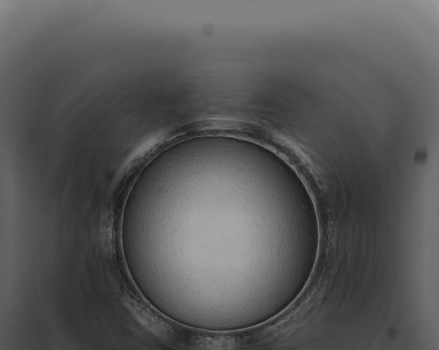 X0000097981403200804011734