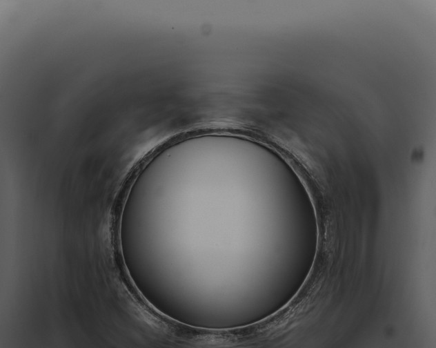X0000097981404200804011734