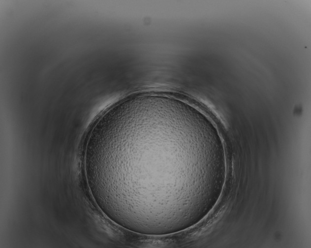 X0000097981405200804011734