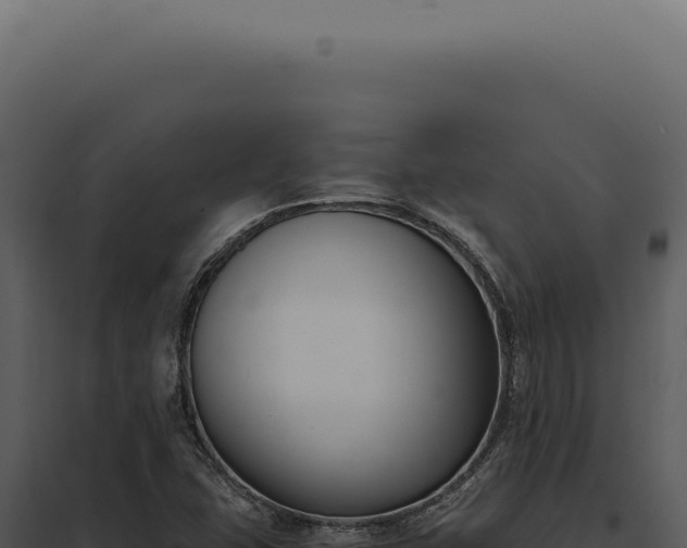 X0000097981407200804011734