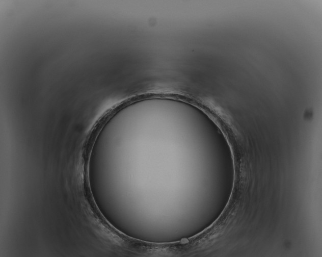 X0000097981408200804011734
