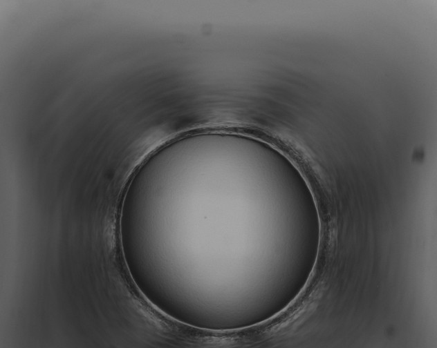 X0000097981409200804011734