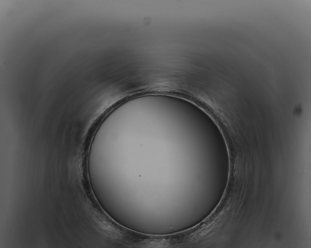 X0000097981410200804011734