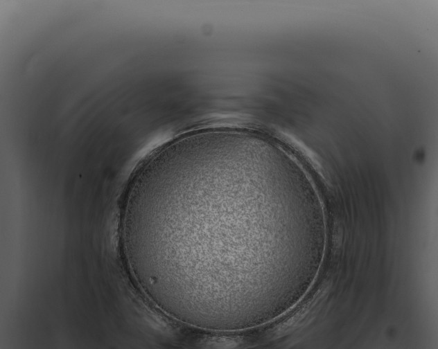 X0000097981411200804011734