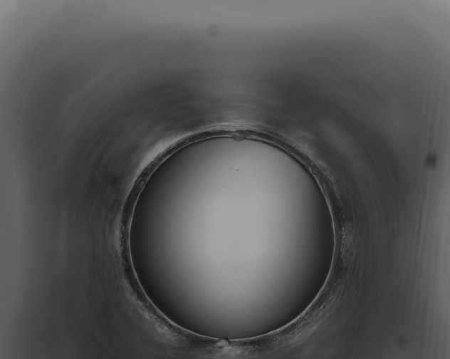 X0000097981412200804011734