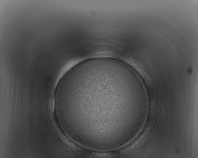X0000097981413200804011734