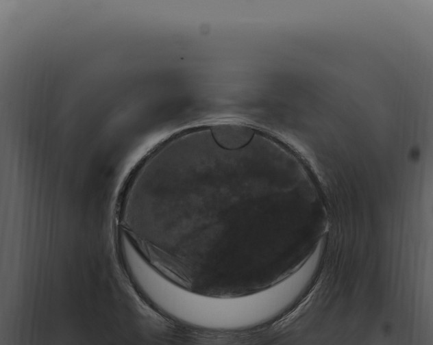 X0000097981414200804011734