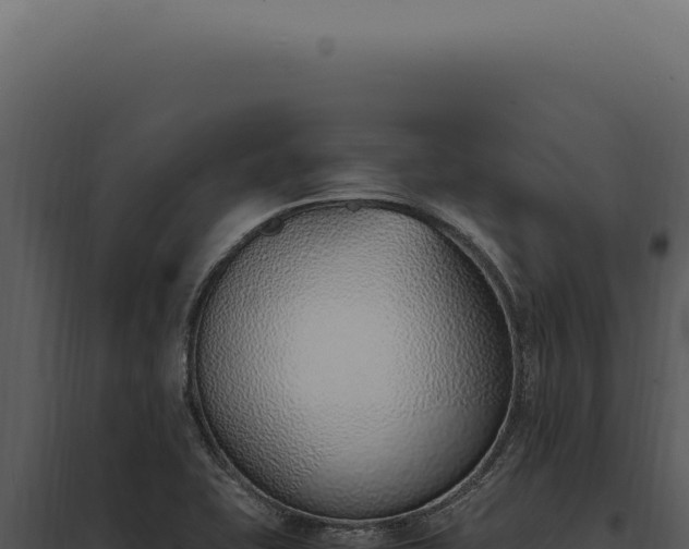 X0000097981415200804011734
