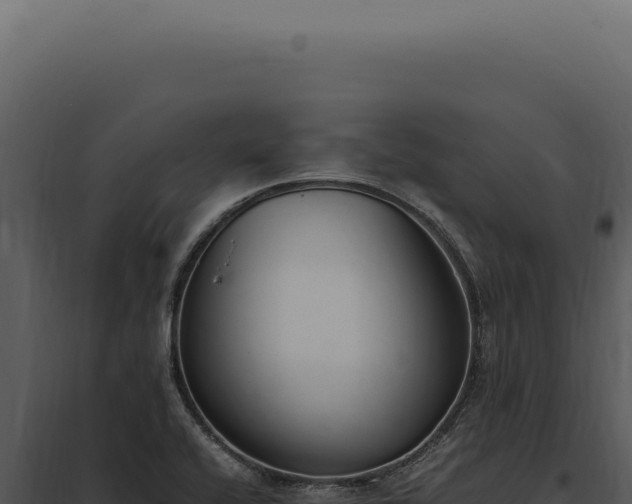 X0000097981416200804011734