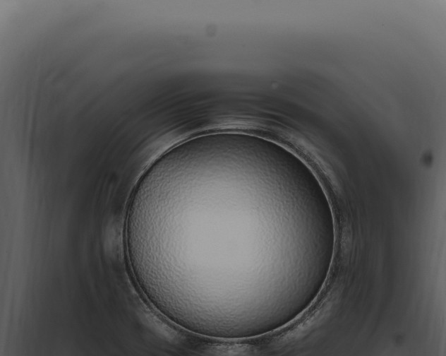 X0000097981417200804011734