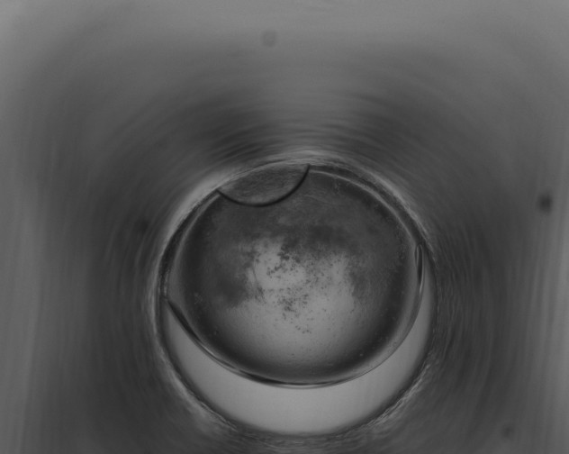 X0000097981418200804011734