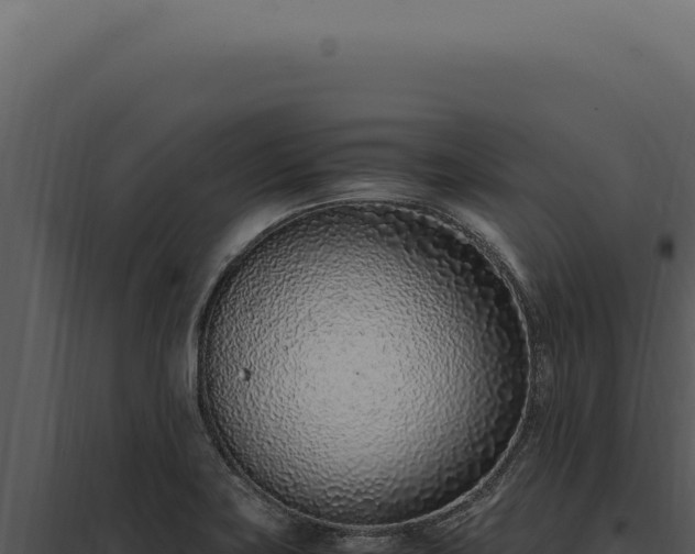 X0000097981419200804011734