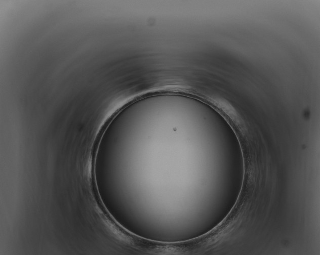 X0000097981420200804011734