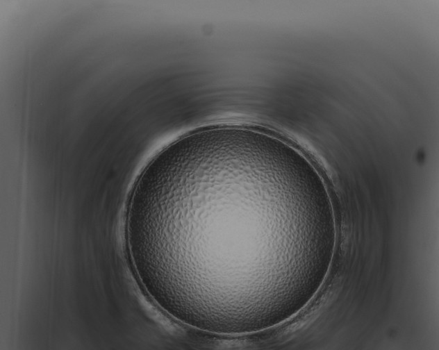 X0000097981421200804011734