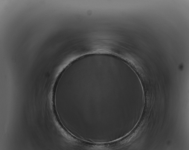 X0000097981422200804011734