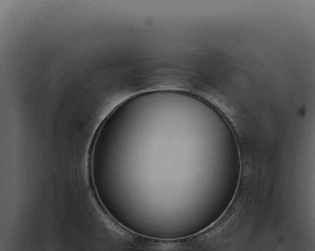 X0000097981423200804011734