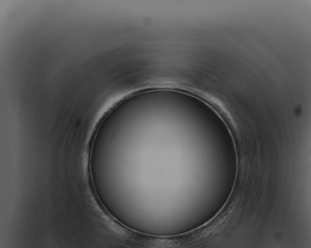 X0000097981424200804011734