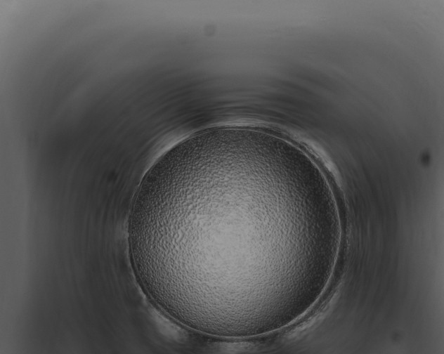 X0000097981425200804011734