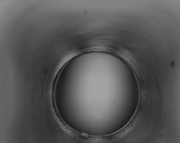 X0000097981426200804011734