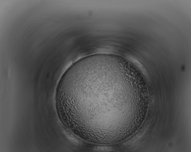 X0000097981427200804011734