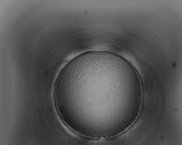 X0000097981429200804011734