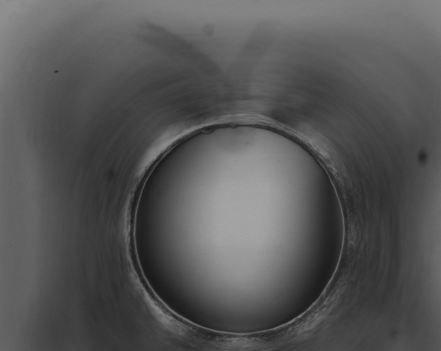 X0000097981430200804011734