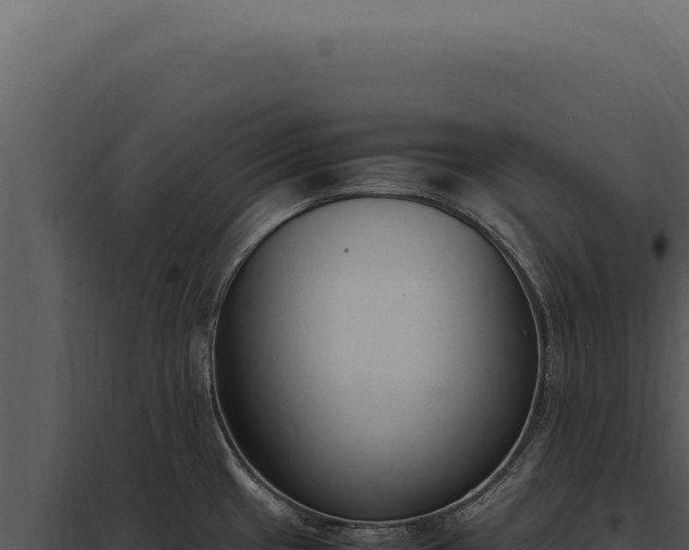 X0000097981433200804011734