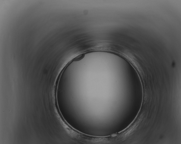 X0000097981434200804011734