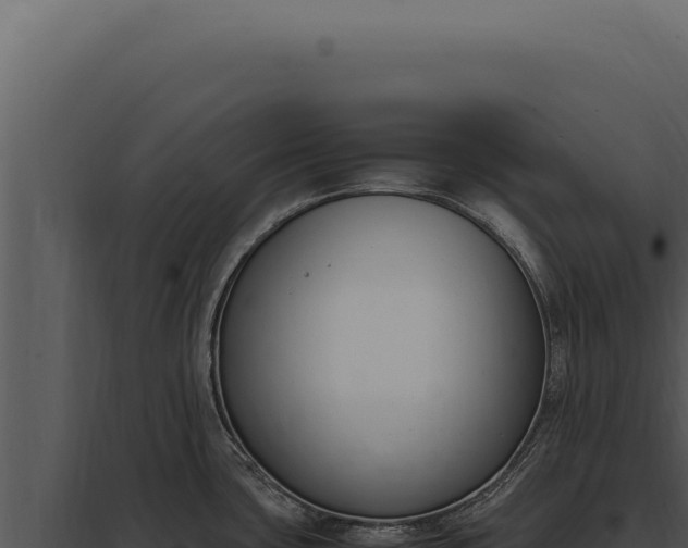 X0000097981435200804011734