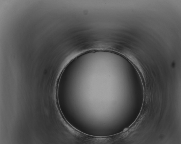 X0000097981437200804011734