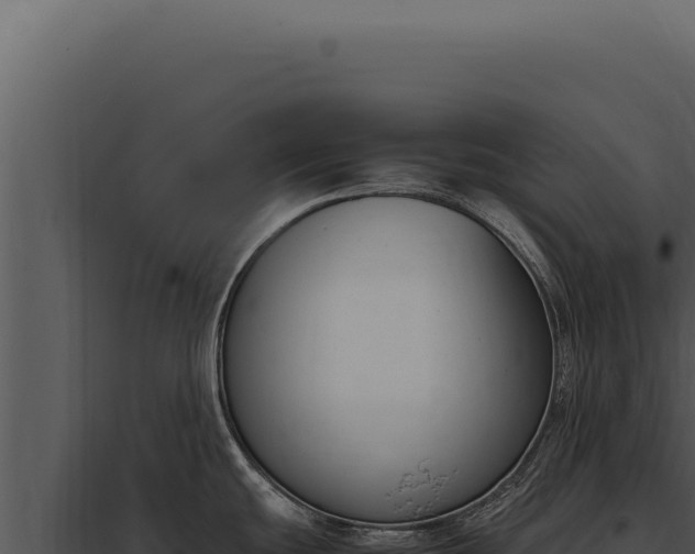 X0000097981439200804011734