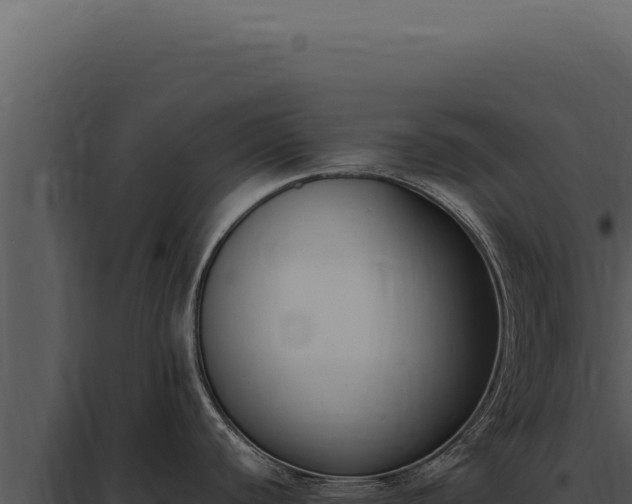 X0000097981440200804011734
