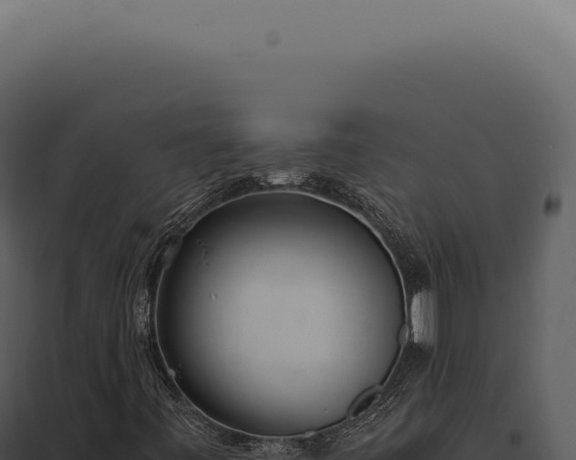 X0000097981443200804011733