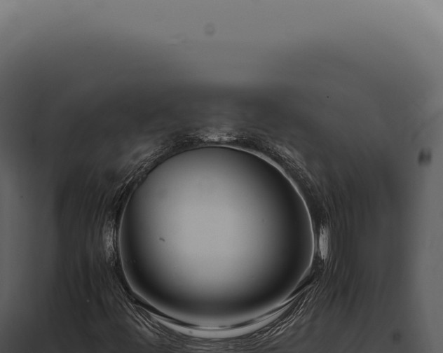 X0000097981444200804011733