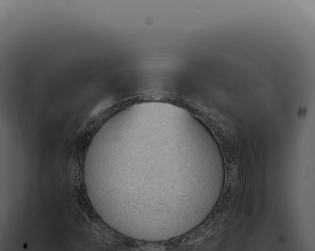 X0000097981446200804011733