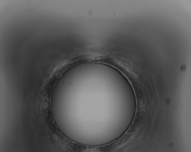 X0000097981447200804011733