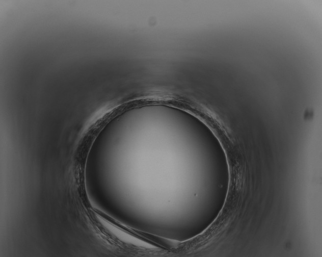 X0000097981448200804011733