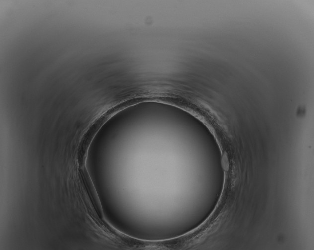 X0000097981449200804011733