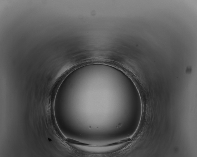 X0000097981450200804011733
