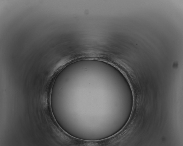 X0000097981451200804011733