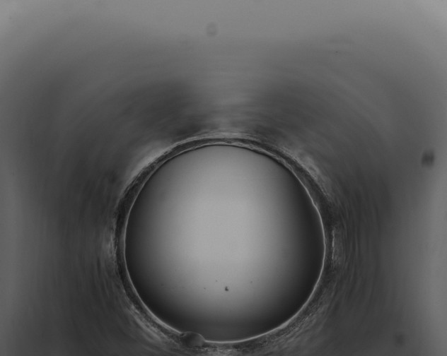 X0000097981452200804011733
