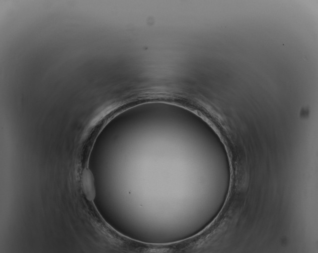 X0000097981453200804011733