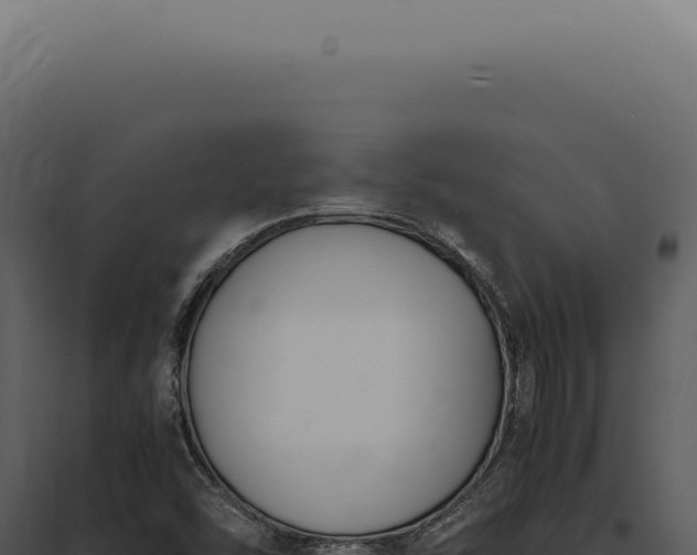 X0000097981454200804011733