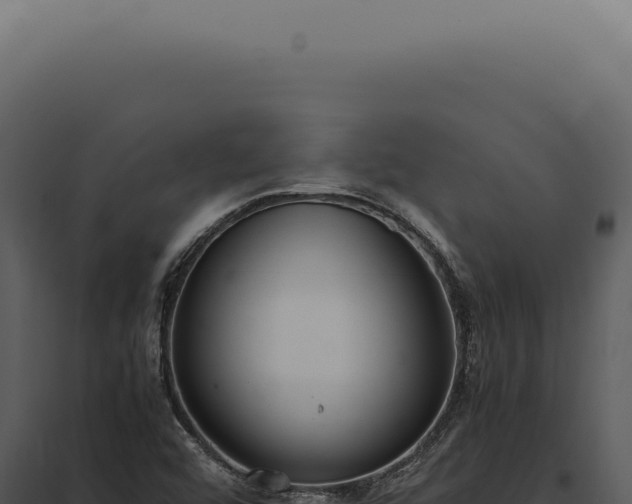X0000097981456200804011733