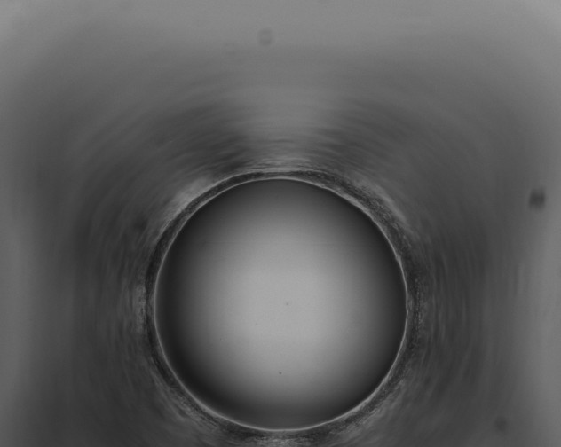 X0000097981457200804011733